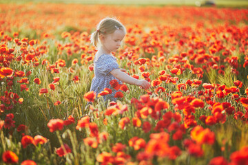 Adorable toddler girl in blue dress walking in the field of blooming poppies © Ekaterina Pokrovsky