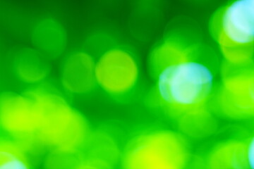 Obraz premium Beautiful green nature background, Sunlight shining through the leaves of trees, natural blurred background, Nature abstract background, nature green bokeh