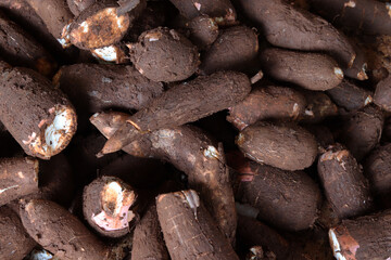 Tapioca Vegetable Market Food Images & Pictures 