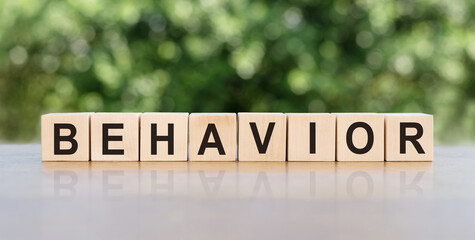Behavior word written on wooden blocks. The text is written in black letters and is reflected in the mirror surface of the table.
