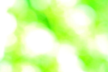 Obraz premium Beautiful green nature background, Sunlight shining through the leaves of trees, natural blurred background, Nature abstract background, nature green bokeh