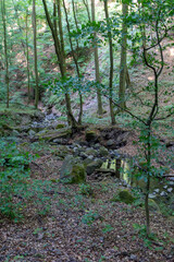 Small creek in the Pilis mountains