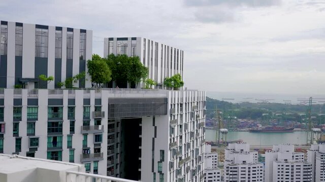 Amazing Rooftop Garden