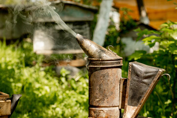 Beekeeper Smoker smokes white smoke. Beekeeping tool close up. Beekeeping apiary. Work at the apiary