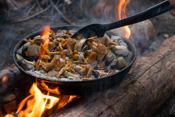 Mushrooms chanterelles on pan. Cook on campfire