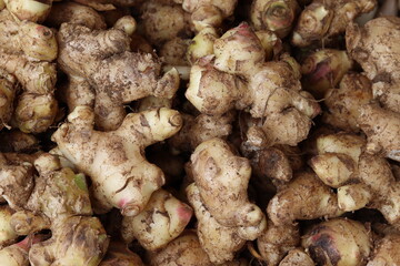 Ginger Vegetable Market Food Images & Pictures 