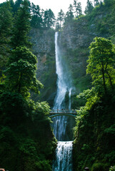 waterfall in the forest