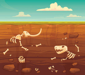 Ground layers with bones. Buried fossil animals, dinosaur, mammot, fish skeleton bone and shellfish.Vector flat style cartoon illustration