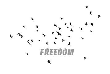 A flock of flying birds. Freedom. Vector illustration