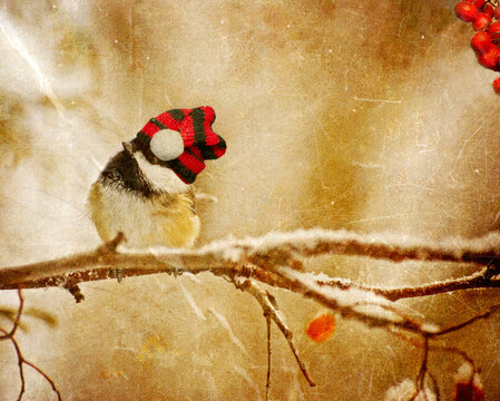 Vintage style christmas card with a chickadee in the snow and copy space.
