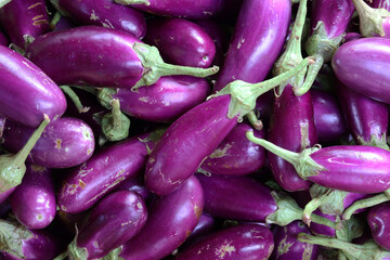 Eggplant Vegetable Market Food Images & Pictures 