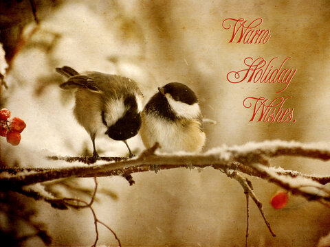 Vintage style Christmas card, bird theme, with english language greeting.