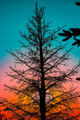 Fototapety na wymiar - Fototapeta24.pl