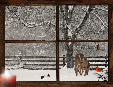Christmas card design looking out the window with deer and other animals in the snow.