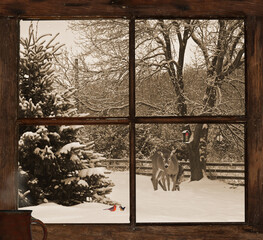 Christmas card design looking out the window with deer and other animals in the snow.