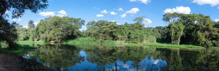 fishing in nature with camp roasting sausage in the wild happy girl, trees reflecting in river water