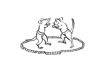 Illustration of two mice playing sumo and playing a cat trick