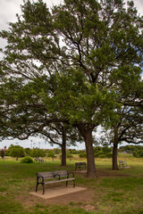 White Rock Lake. Dallas, Texas.