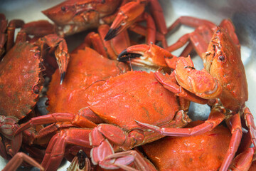 cooking velvet crabs in a pot after boiling