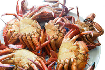tray of ready-to-eat cooked crabs on a white background
