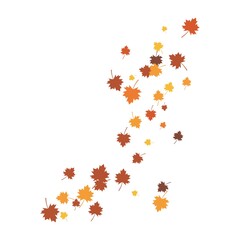 Obraz na płótnie Canvas Autumn Leaf background