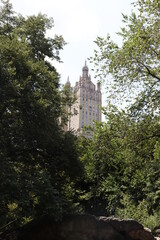 Fototapeta na wymiar Building view from Central Park