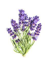 Flowers lavender bundle white background