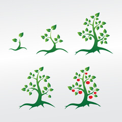 Obraz premium sequential growing green tree with leaves