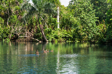 A view of green trees reflecting on a river with a blue sky in the background