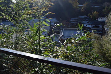長谷寺路地