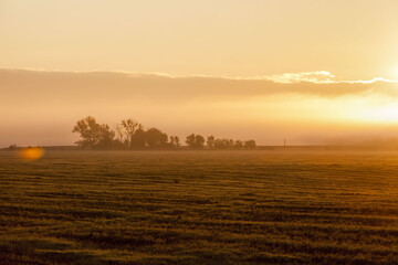 landscape in nature during sunset