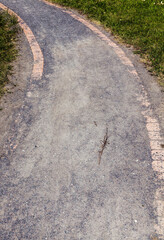 road in a rural area