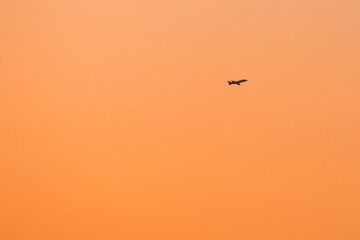 Airplane orange sky