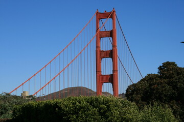 SFO, CA