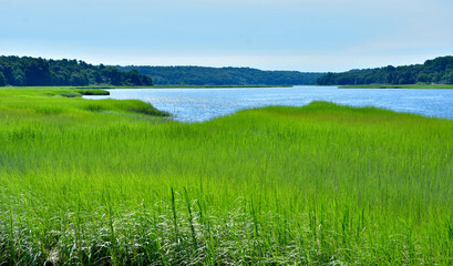 A bright green expanse of tidal salt marsh opens out to the blue water of Stony Brook Harbor on Long Island's north shore..  Copy space.