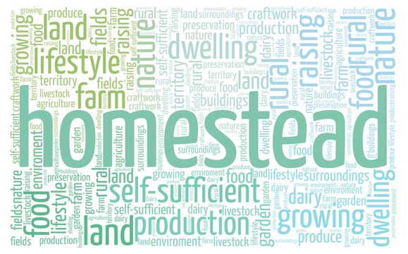 Homestead word cloud isolated on a white background