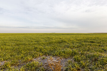 agricultural field in Europe