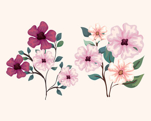 set of flowers, branches with leaves, nature decoration vector illustration design