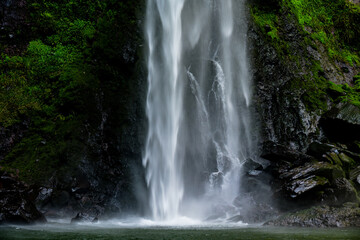 Fototapeta premium 東椎屋の滝