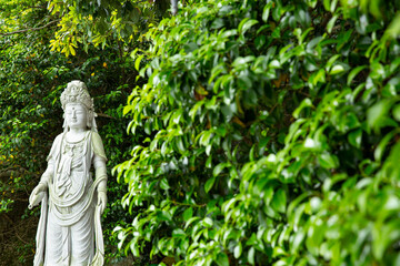 Fototapeta premium 부처님 오신날 절에 걸린 등과 불상