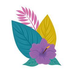hibiscus beautiful purple color, with branch and tropical leaves, spring summer botanical vector illustration design