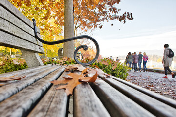 bench in autumn park