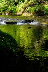 Naklejka premium 東椎屋の渓流