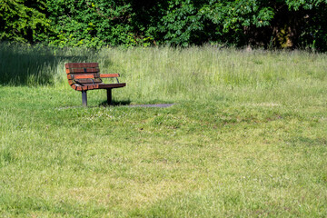 Wooden park bench in the middle of a grassy field
