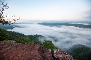 Foggy morning mist in valley beautiful in Thailand Asian - Misty landscape mountain fog and forest tree view on top