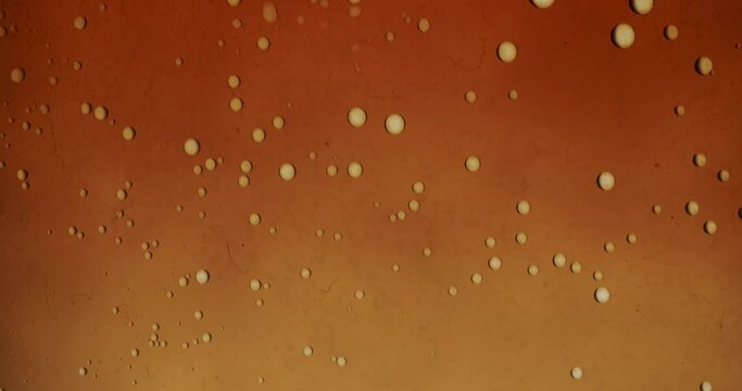 Olive oil getting squished in vinegar forming small bubbles and strange forms and patterns. Vinegar first transparent then brown.