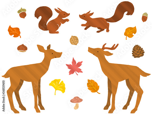 シカとリスのペア 紅葉 木の実の手描き風イラストセット ストライプのブラシ風テクスチャ Wall Mural Nora Hachio
