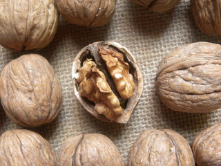 Brown color raw dried broken Walnut