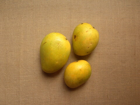 Yellow color ripe whole fresh Banganapalli mangoes