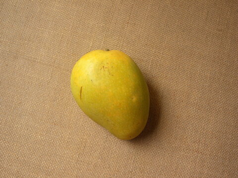 Yellow color ripe whole fresh Banganapalli mango